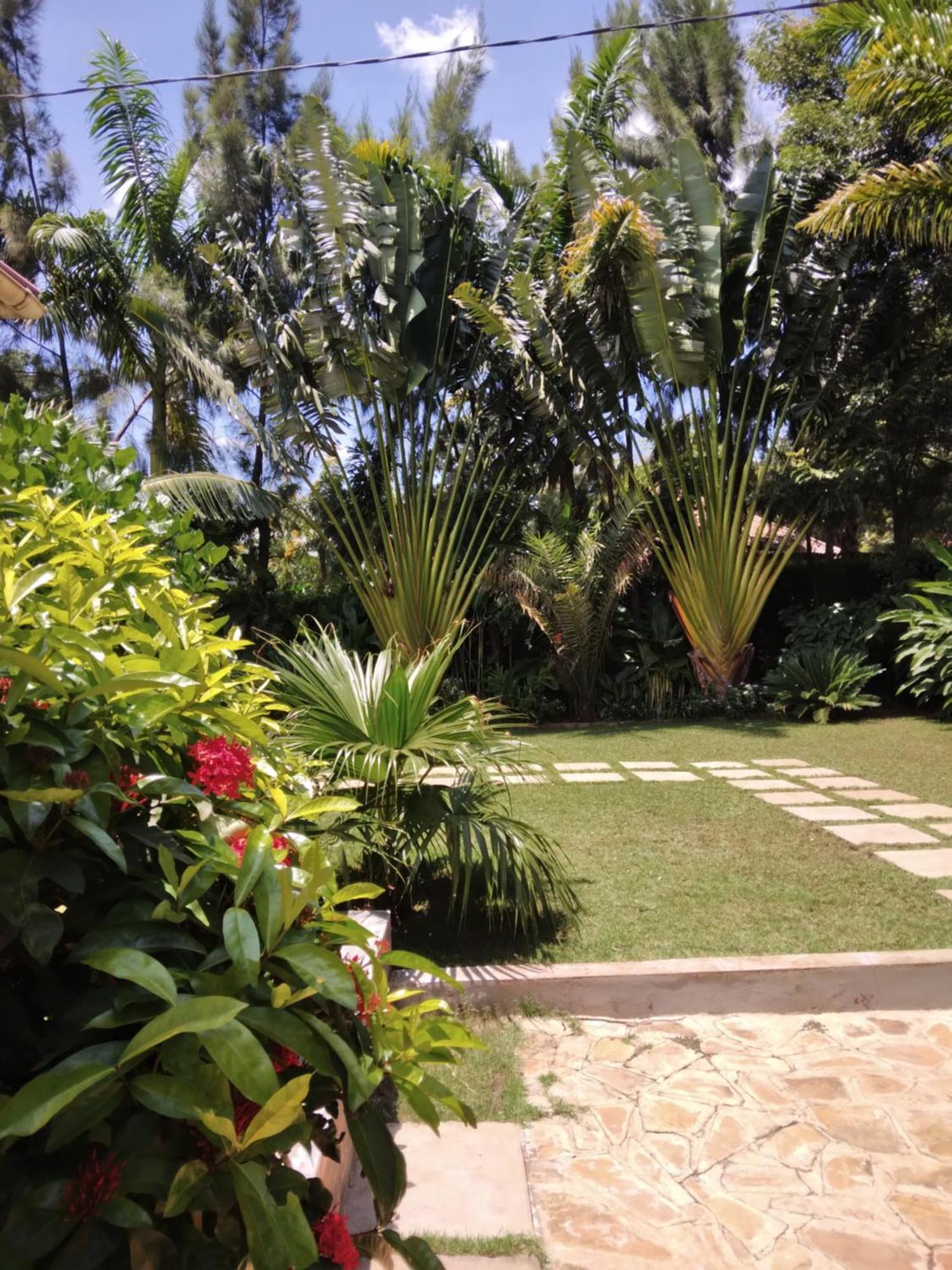 Sprunger Avenue - Tulia Homes Moshi Ngoại thất bức ảnh